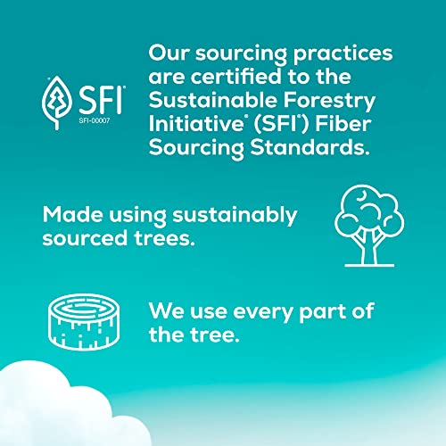 Angel Soft Toilet Paper, 18 Mega Rolls = 72 Regular Rolls, Soft and Strong Toilet Tissue